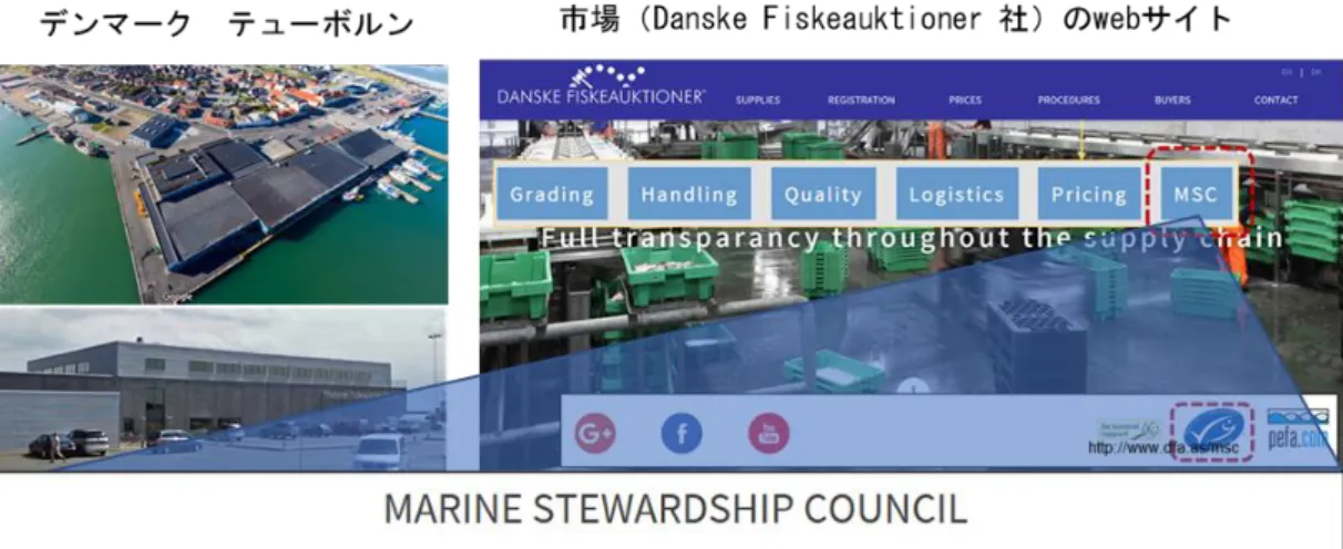 図 2.3  海外漁港（市場）web サイト 4) におけるエコラベル情報の提供（事例）