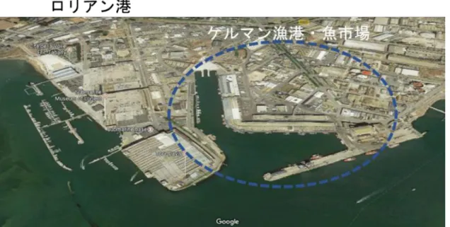 図 4.2.1  ロリアン港ケルマン魚市場 