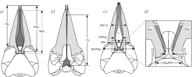 Fig. 10    Measure points of the skeleton of snout (premaxilla, maxilla, vomer) a, c) dorsal  view, b) ventral view, d) dorsal view around nasal   