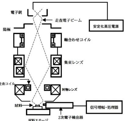 Fig. 2-7  走査型電子顕微鏡の概略図 