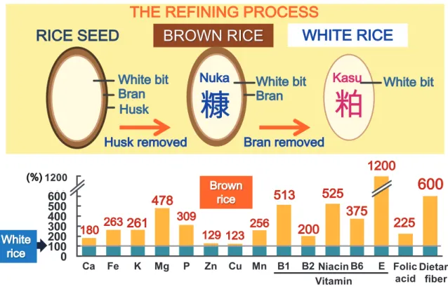 Fig. 1. Nutritional comparison between brown rice and white rice.