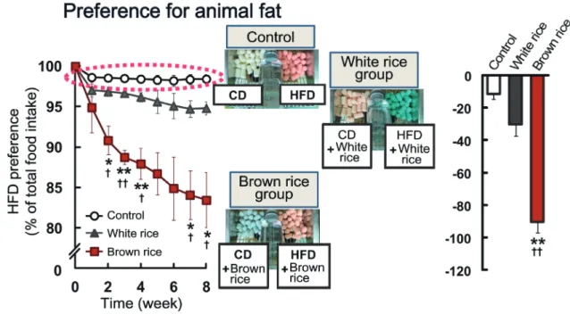 Fig. 6. Impact of brown rice on preference for animal fat in mice.                                                                                                           