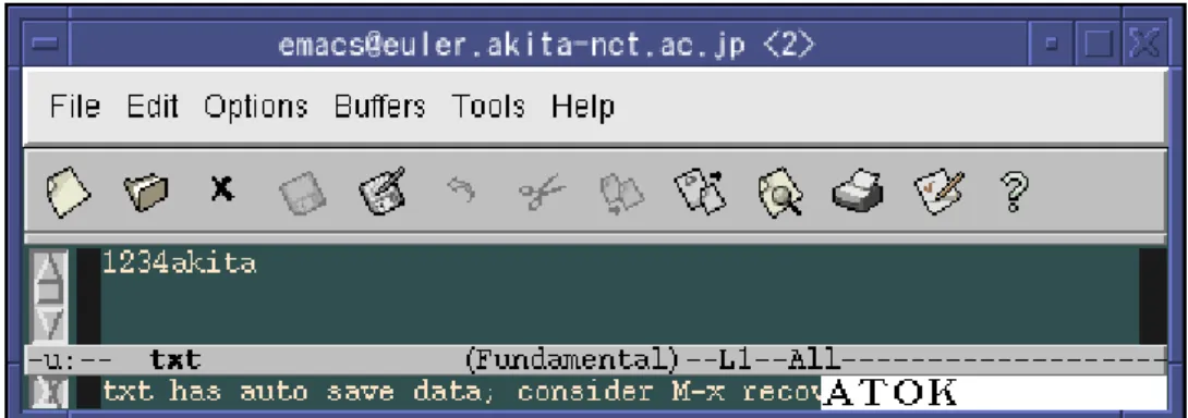 図 2: テキストデータ。整数の 1234 と文字列”akita”。