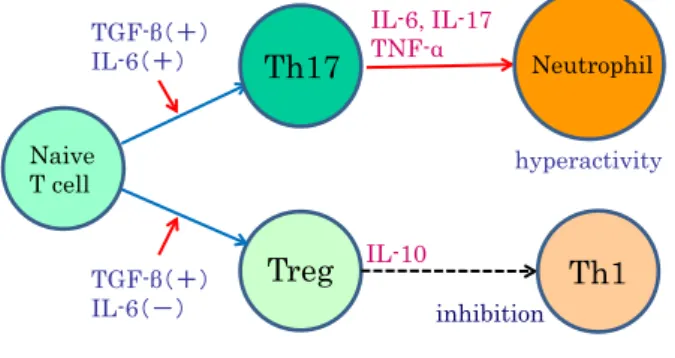 Fig. 4  Hypothetical scheme (modified from reference 15 and 21)   of immune mechanisms underlysing the effects of anti-IL-6  receptor antibody in neuro-Behçet disease.