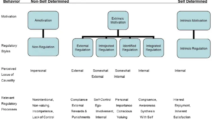 Figure 1 Self-Determination Continuum 