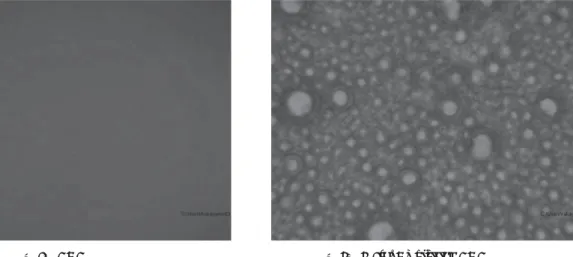 Fig. 6 Air Mixture BDF