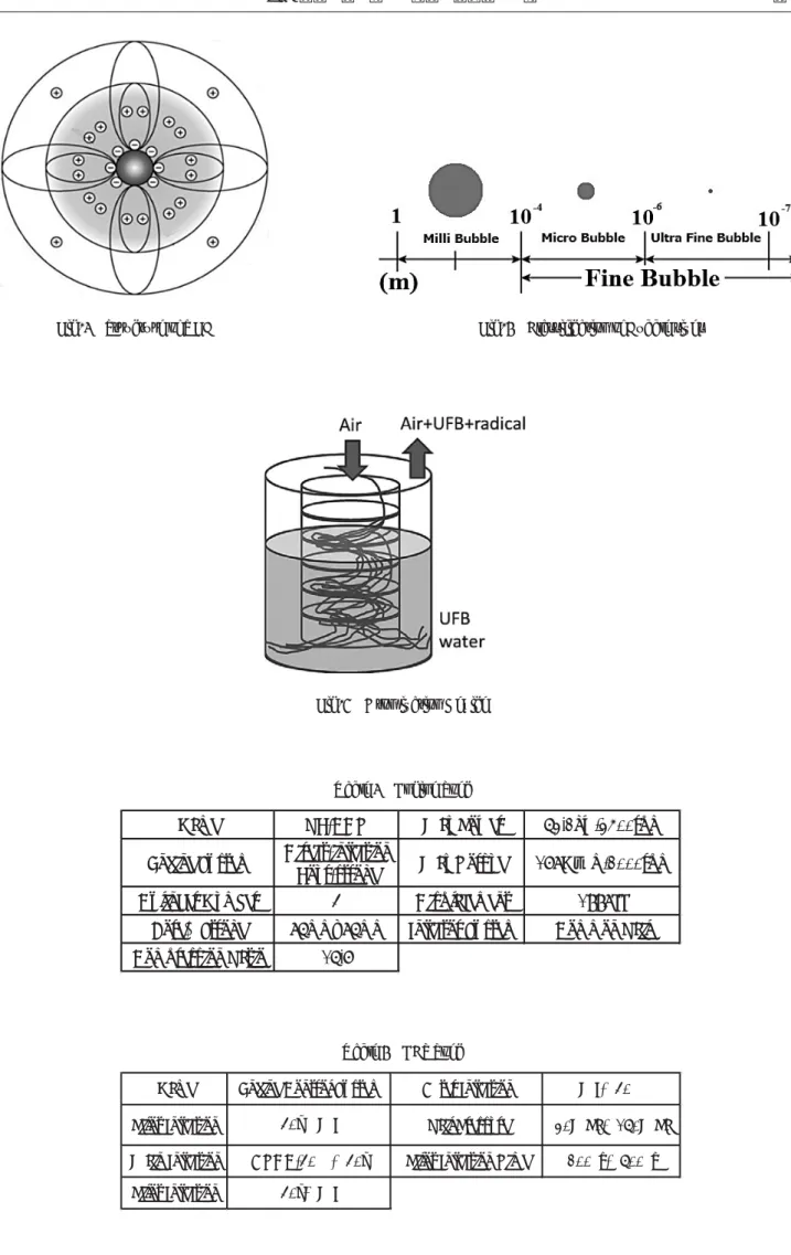 Fig. 1 Structure of UFB Fig. 2 Classification of Bubble sizes