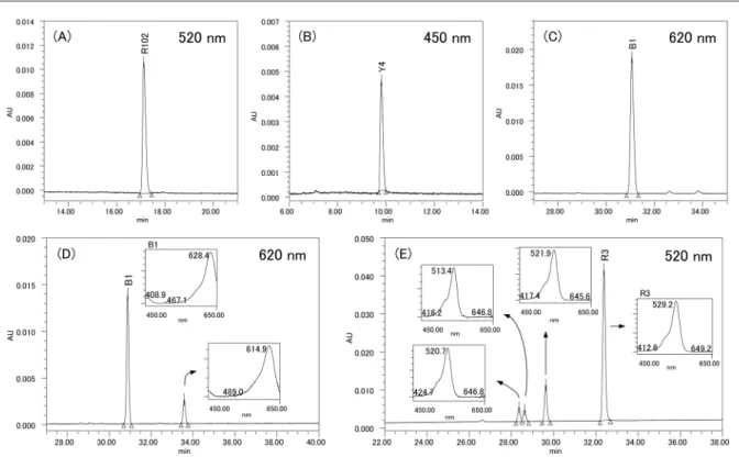 Fig. 2.  HPLC chromatograms of representative samples