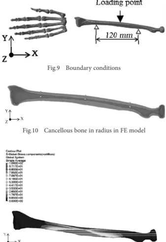 Fig . 9 　 Boundary conditions