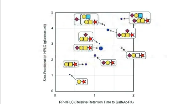 図 3-4-5．定量値情報を付加したフェツイン由来ムチン型糖鎖の２次元 HPLC マップ。縦軸は サイズ分画 HPLC での溶出時間をイソマルトオリゴ糖の溶出時間で標準化した値、横軸は逆 相 HPLC での N -アセチルガラクトサミン-PA に対する相対溶出時間である。糖鎖構造の記号 は、Consortium  for  Functional  Glycomics の基準に従った。白四角は N -アセチルガラクトサミ ンの C2 エピメリ化反応で生じた N -アセチルタロサミンを示す。この分析における当該