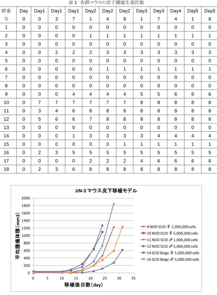 図 1    NOD-scid および scid-bg マウスにおける平均腫瘍体積の比較 