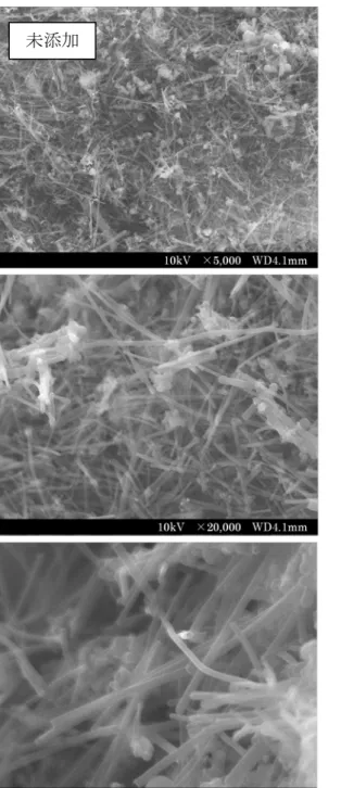 図  ２-6.  未添加および触媒添加 VGCF の FE-SEM 