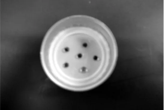 図 13 6 個の穴をあけ接着剤でガラスビーズをとめた様子