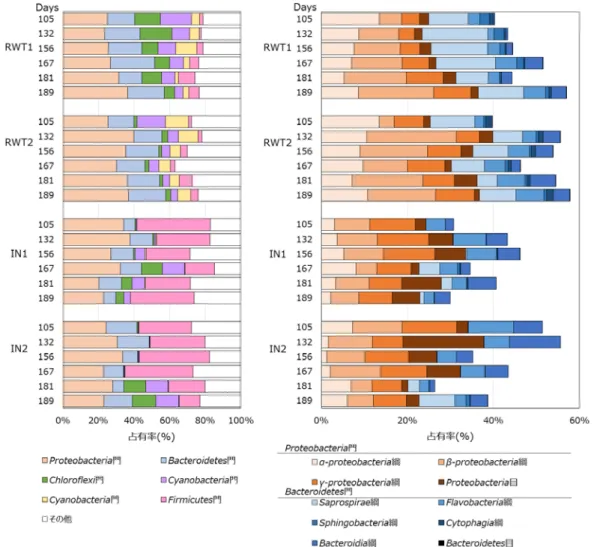 図 -6 門レベルおよび Proteobacteria 門と Bacteroides 門の綱レベルでの RWT1 、 RWT2 、 IN1 、および IN2 の細菌叢の経過日変化 Saprospirae 綱と Sphingobacteria 綱が RWT2 よりも 多く、それぞれ平均 1.6 倍と 2.7 倍であった。これら の細菌種は、 RWT1 の微細藻類の成長に貢献している 可能性が示唆された。    