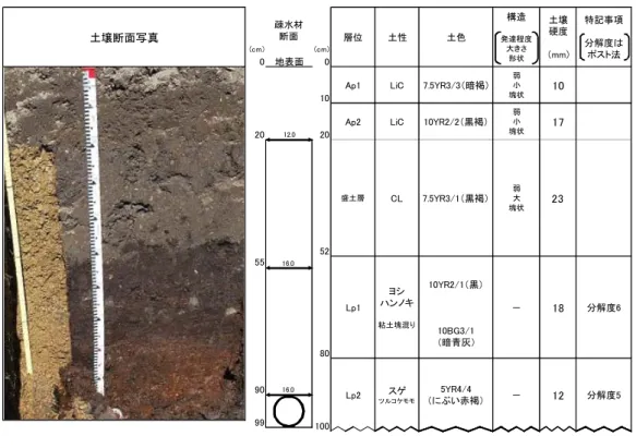 図 29  №6 圃場の暗渠工施工断面  ＊  中央の疎水材断面の図中の数値は地表面からの深度と疎水材部の幅を、右側の土壌断面の枠横の数値は深度を示す。 図 30  №6 圃場の透水係数  図 31  №6 圃場の粗孔隙量(cm)(cm)0地表面0 10YR2/1（黒）10BG3/1（暗青灰） － 18 分解度65YR4/4（にぶい赤褐）－12分解度510YR2/2（黒褐）弱小塊状177.5YR3/1（黒褐）弱大塊状23CLヨシハンノキ粘土塊混りスゲツルコケモモ9920Lp1Lp25280100土壌断面写真