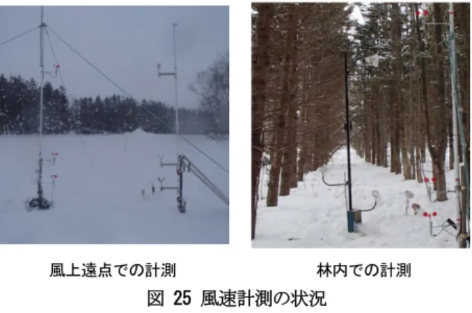 図 23 調査地の周辺状況  (青線が観測ライン。周辺は牧草地である。)  図  24 調査箇所の状況(林内)  3.2. 調査方法  林の風上遠点 ( 林縁から 45m) と林内で風速と吹雪量 を同時計測し、防雪林による風速低減効果、吹雪捕捉 効果を調査した。 測定器材の都合上、風上遠点は場所を固定して計測 し、林内は測定毎に場所を移動させた。 風速は雪面上の高さ 7.0m 、 3.0m 、 1.0m 、 0.5m の 4 点で計測し、 吹雪量は雪面上の高さ 3.0m 、 1.0m 、 0.5m 、 0.