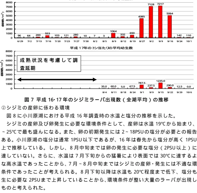 図 7  平 成 16･ 17 年 の シ ジ ミ ラ ー バ 出 現 数 （ 全 湖 平 均 ） の 推 移   ② シ ジ ミ の 産 卵 に 係 わ る 環 境   図 8 に 小 川 原 湖 に お け る 平 成 16 年 調 査 時 の 水 温 と 塩 分 の 推 移 を 示 し た 。   シ ジ ミ の 産 卵 及 び 卵 発 生 に 必 要 な 環 境 条 件 と し て 、産 卵 は 水 温 19℃ か ら 始 ま り 、20 ∼ 25℃ で 最 も 盛 ん に な る 。 ま た 、卵
