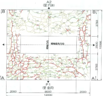 図 -4.2  A 橋のフーチング上面のひび割れ状況
