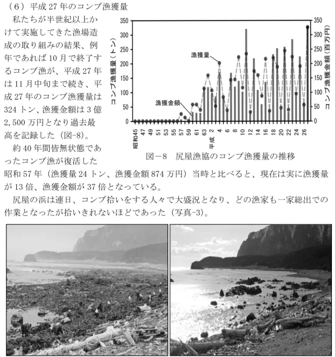 図 8  尻屋漁協 コン 漁獲量 推移 漁獲量 漁獲金額 ）成 27コン漁獲量 私半世紀以実施漁場造成取組結果例あ10月終了コン漁成 2711月中旬成 27コン漁獲量324ン 漁獲金3億2,500万過去最高記録図-8）  約 40間皆無状態あ コン 漁 復活 昭和 57 漁獲量 24 ン 漁獲金 874 万 ）当時 比 現在 実 漁獲量 13 倍 漁獲金 37 倍 い 尻屋 浜 連日 コン 拾い 人々 大盛況 漁家 一家総出 作業 拾い いほ あ 写真-3）   ．波及効果  私 昭和 57 以降 コン 資