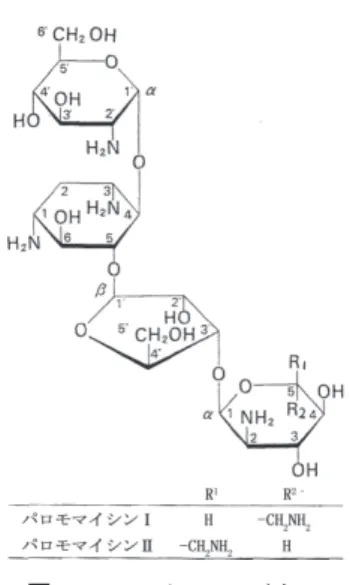 図 7-1-5　パロモマイシン ＜リボスタマイシン＞ リボスタマイシンは 1970 年明治製菓中央研究所の 庄村喬らにより、三重県津市の土壌から得られた放線 菌 Streptomyces ribosidificus から発見された 6） 。リボス タマイシンはその構造から分かるように、ネオマイ シンからネオサミンの欠損した三糖類構造を持ってい る。本剤の結核菌に対する抗菌力はカナマイシンより 弱く、結核症に対する適応はないが毒性は低く、アミ ノ配糖体系抗生物質に共通の副作用として知られる第 8 脳神経障害（