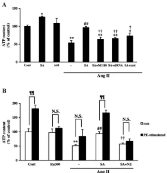 Fig. 4. Schematic Representation of Working Hypothesis of SA4503-induced Cardioprotection