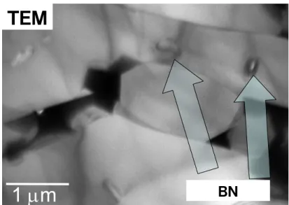 図 5  得られた焼結体の透過型電子顕微鏡（TEM）による観察結果  ■ 今後の予定 ■    今後は、今回開発した材料を使って、アルミニウム鋳造用だけでなく、亜鉛、鋳鉄、鉄鋼系の 鋳造など、より過酷な使用条件のプロセスにも適用できる大型部品をターゲットとして部材化技 術を確立し、実用化を図る。 ＴＥＭ 1 mm ＢＮＴＥＭ1 mmＢＮ