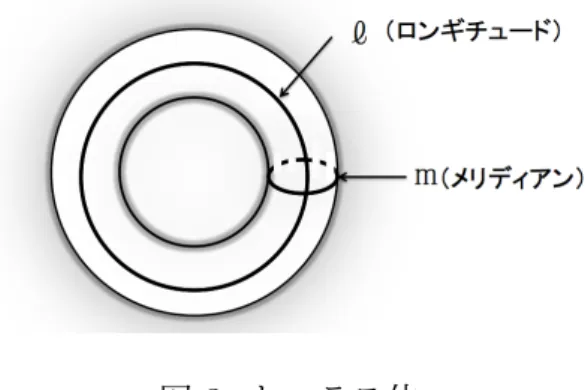 図 3: トーラス体 1 回巻いた 1 点に可縮でない ∂ V 2 上の単純閉曲線とする． V 1 , V 2 の表面を, β を α に沿って貼り合わせてできた 3 次元多様体をレンズ空間 L(p, q) と いう．代表的なレンズ空間の例としては L(1, 0) の 3 次元球面がある． 図 4: 6.2 レンズ空間のホモロジー群 トーラス体 V 1 を X ， V 2 を Y としたとき，レンズ空間の作り方から L(p, q) ∼ = X ∪ Y, T 2 ∼= X ∩ Y であるため， X ∼ = V