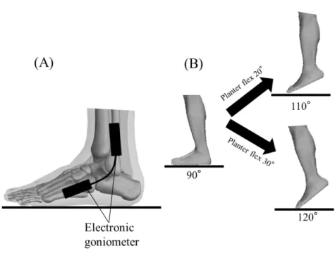 Figure 1. Schematic representations of experimental set up (A) and protocol (B). 