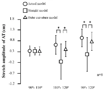Figure 5. Stretch amplitudes of Achilles tendon with changes of ankle joint angle.