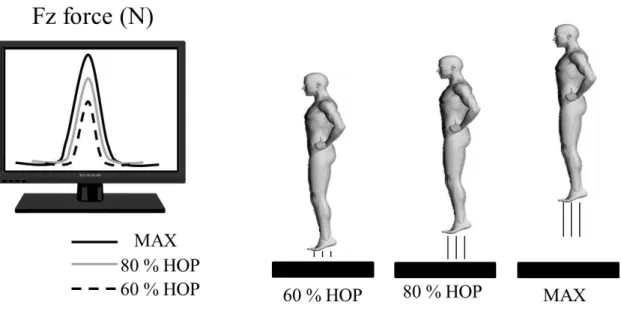 Figure 7. Schematic representations of experimental protocol. 