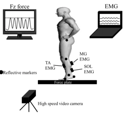 Figure 11. Schematic representations of the hopping experiment set-up. 