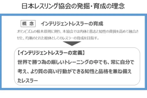 Figure 4.1  イ ン テ リ ジ ェ ン ト レ ス ラ ー の 定 義  