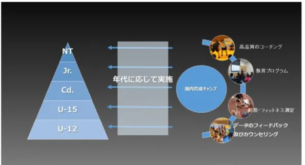 Figure 4.2  国 内 育 成 キ ャ ン プ の イ メ ー ジ 図  