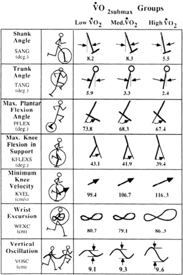 Figure  1.  Different  running  kinematics  between  3  different  running  economy  (VO 2max )  groups  (Williams  and  Cavanagh  1987)