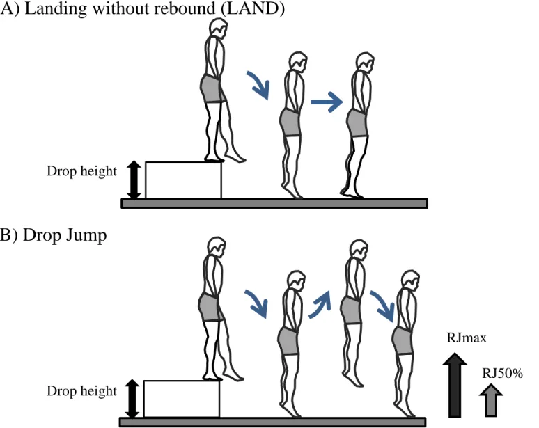 Figure 7. Set-up for the Landing (A) and Drop jump (B) protocol. The subjects were instructed not to make counter movements  with their arms and knees as far as possible and had enough familiarization session to confirm their movements