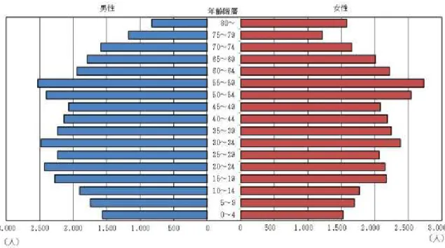 図 2-2-3  平成 22 年度の男女別 5 歳階級別人口 