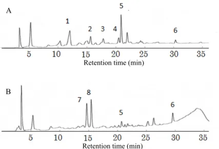 Table 4. RP-HPLC chromatogram of peel polyphenol compositions detected at 280nm. 