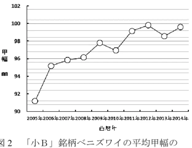 図 2  「小Ｂ」銘柄ベニズワイの平均甲幅の  年別推移(2005 年～2014 年)  ②  市場調査によって求めた甲幅別漁獲尾数を図 3 に示した．水揚げされたベニズワイは約 3,412 万尾と推計され,モードは甲幅 100 ㎜前後にあり, そのうち形態的未熟個体である小爪（鋏脚の小さ い）個体は約 779 万尾で,昨年に比べ微減して全体 の 22％となった．  図 3  境港水揚ベニズワイ甲幅別漁獲尾数(2014 年)  ③  本年度(2014(平成 26)年 10 月～11 月にかけ て,大和堆漁場