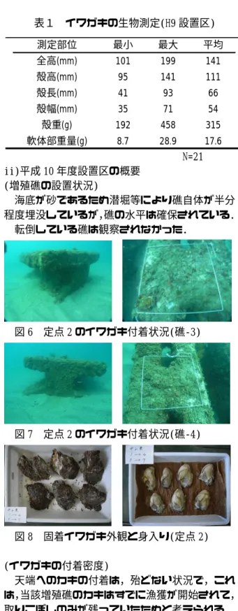 図 2 中山地先イワガキ増殖場(H21.8.26) ○：H9 造成区，●：H10：造成区 ・観察した増殖礁 5 基の 50cm 四方の付着数は，33 個，50 個，47 個，32 個，36 個で，1 ㎡当たりの 付着密度は，128〜200 個/㎡で，過密状態で固着 していた． 図 3 定点１のイワガキの付着状況(礁‑1) 図 4 定点 1 のイワガキ付着状況（礁‑2） 図 5 固着したイワガキ外観と身入り 枠取採集サンプルは，表 1 のとおりで，漁獲サ イズ(殻高 10cm 以上)に達していた． 外套膜が透