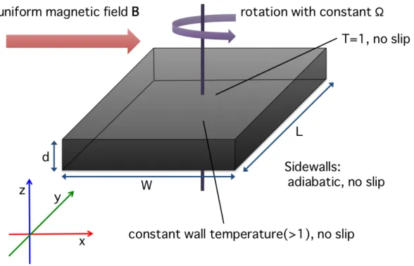 Fig. 7: Numerical setting which models the vessel adopted in the complemental experiment