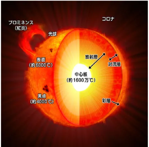 Fig. 2: Internal Structure of the Sun (Citation from[2])
