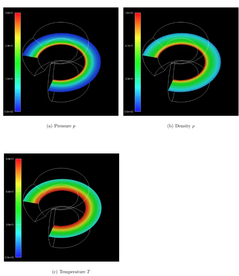 Fig. 3.2: 3D-Visualization of Initial Condition for the Solar Interior (Yin-Grid)