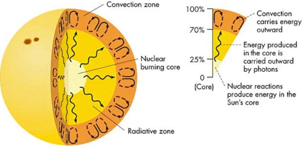 Fig. 1.2: Internal Structure of the Sun
