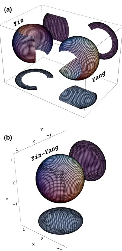 Fig. 2 Yin-Yang grid.