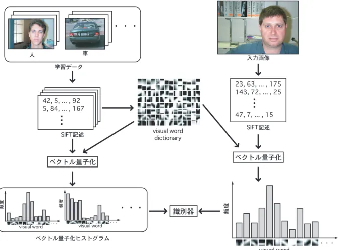 図 5.1: Bag of Keypoints の流れ 5.1.3 特徴量抽出の流れ Bag of Keypoints の特徴量抽出の流れを以下に示す． • 局所特徴量の抽出 • 局所特徴量のベクトル量子化 • クラスタの頻度を計算 はじめに，画像中から局所特徴量として SIFT 特徴量の抽出を行う．次に抽出した SIFT 特徴量をベクトル量子化する．このとき，ベクトル量子化に用いるコードブックは学習 データから作成する．最後に，ベクトル量子化された SIFT 特徴量から各クラスタの頻度 （ベクトル量子化ヒ
