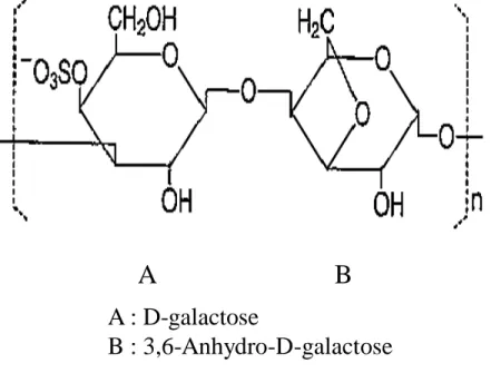 Fig. 1.3. Molecular structure of κ -carrageenan  34)