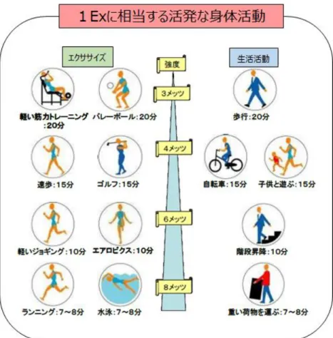 図 1-2.  1Ex に相当する活発な身体活動 