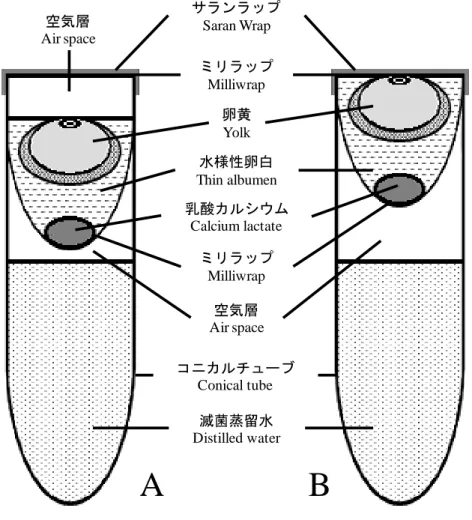 図 2-1. 培養に用いた人工容器 