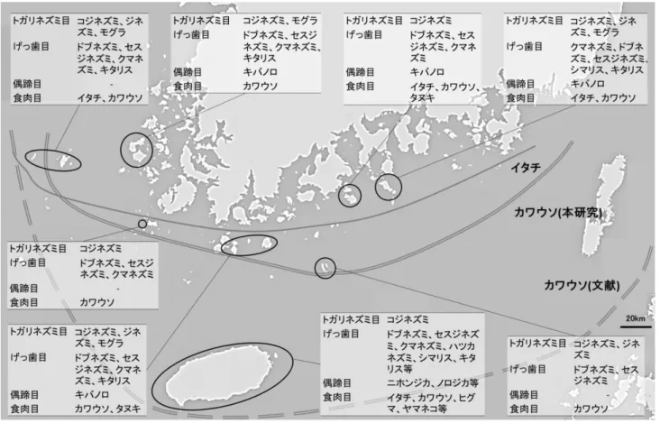 図 2 -8   韓 国 の 諸 島 (多 島 海 海 上 国 立 公 園 ) に お け る 哺 乳 類 相 ( 曲 線 は 最 外 側 の 生 息 確 認 地 点 を 繋 げ た も の 。 実 線 ,  イ タ チ の 生 息 地 ； 二 重 実 線 ,  本 調 査 の 結 果 に よ る カ ワ ウ ソ の 生 息 地 ； 二 重 破 線 ,  文 献 に よ る か つ て の カ ワ ウ ソ 生 息 地 )(国 立 公 園 管 理 公 団 , 2012) 