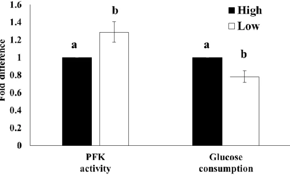 Figure 4:  Effect of oxygen levels on PFK activity and glucose consumption of GCs   酸素環境の違いが顆粒層細胞の PFK 活性およびグルコース消費量に及ぼす影 響について検討した (n=5) 。 PFK 活性は PFK activity colorimetric kit (Biovision) を用 いて測定し、グルコース消費量は glucose assay kit (Biovision) を用いて測定した。